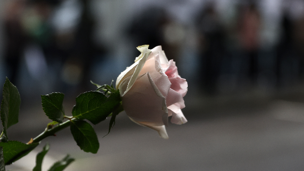 Психолог Ступар Ђуришић о две трагедије у школама у Турској: Деца се не рађају као убице