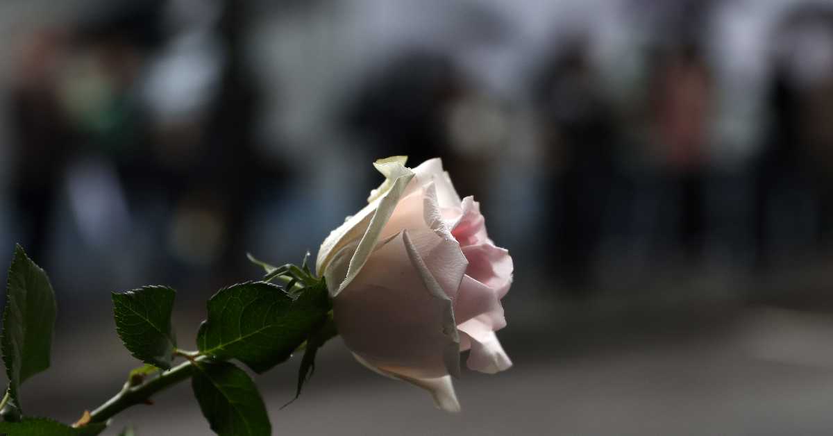 Психолог Ступар Ђуришић о две трагедије у школама у Турској: Деца се не рађају као убице