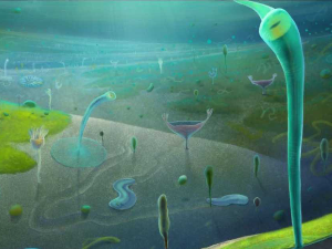 Новости из едијакарске ере