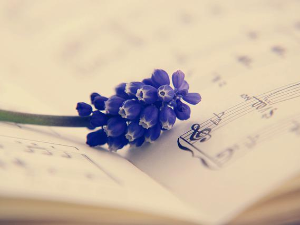 Жене у музици