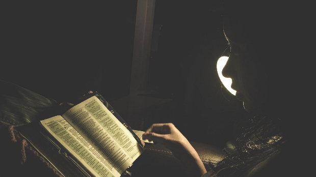 Метаморфозе Милорада Павића и Вишкови себе