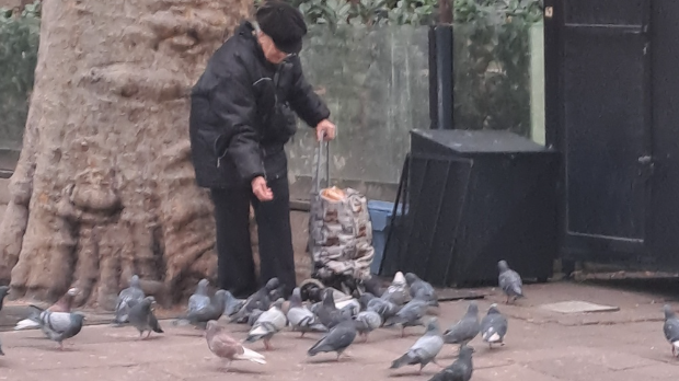 Јутарњи викенд програм