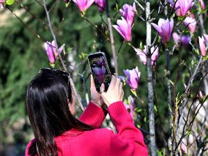 Сунчано и топло, промена времена у вечерњим сатима