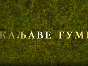 Каљаве гуме, 8-10