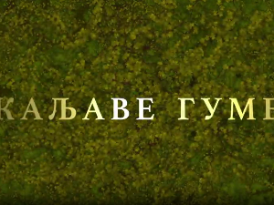Каљаве гуме, 9-10