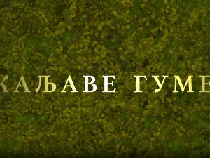 Каљаве гуме, 9-10