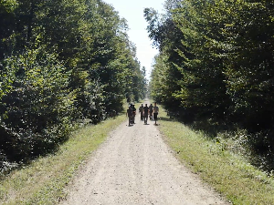 Наука привреди, 6. еп.