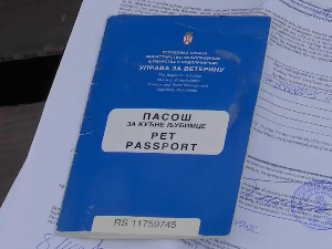 Крај "пасјег живота", ускоро јефтинија и једноставнија путовања за љубимце у ЕУ