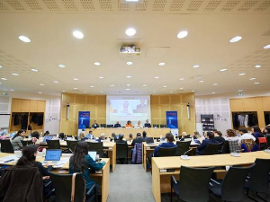 Дијалог о укључивању Рома и Травелерса одржан у Стразбуру