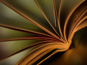 Стеван Раичковић: ,,Књиге"