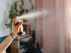 Ново откриће: Научници повратили памћење код старих мишева уз помоћ спреја за нос