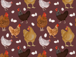 Пошла кока на пазар