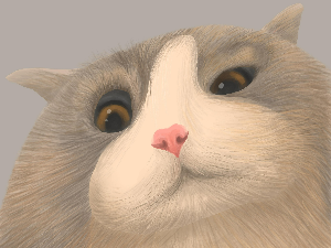 Поезија: Јовица Ђурђић 5