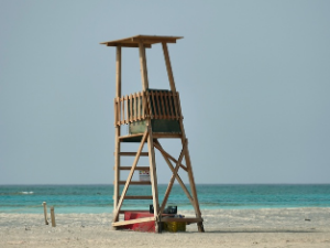 Познати спасилац