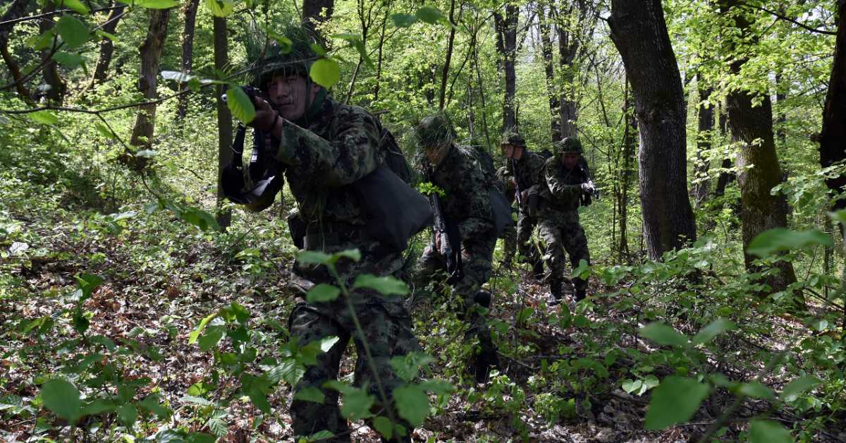 Гашић за РТС: Спремни смо за увођење војног рока, прве регрутације од септембра