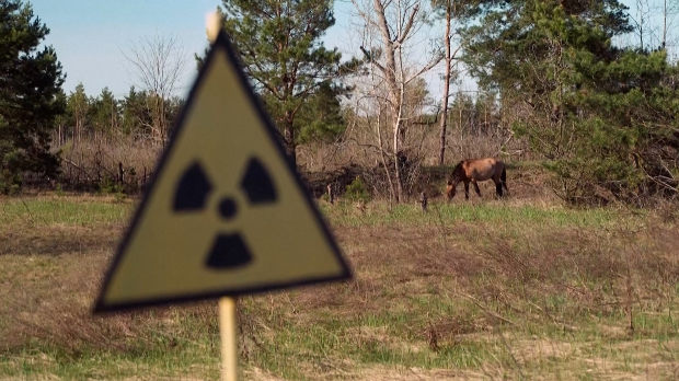 Од катастрофе до природног резервата: Како је Чернобиљ оживео без људи