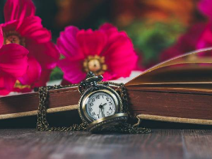 Драгомир Брајковић: ,,Пролеће у Техерану“