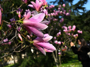 Јутро хладно, дан сунчан – температура до 24 степена