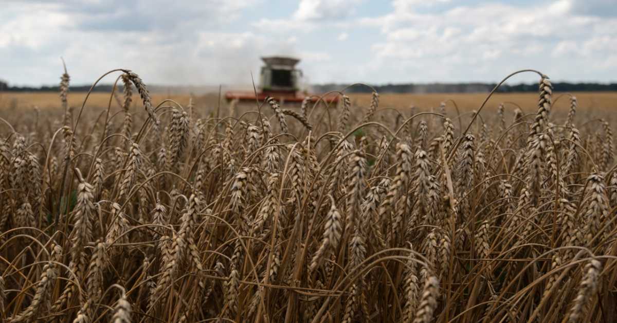 Кијев: Израел примио више пошиљки украденог украјинског жита; Брисел прети санкцијама