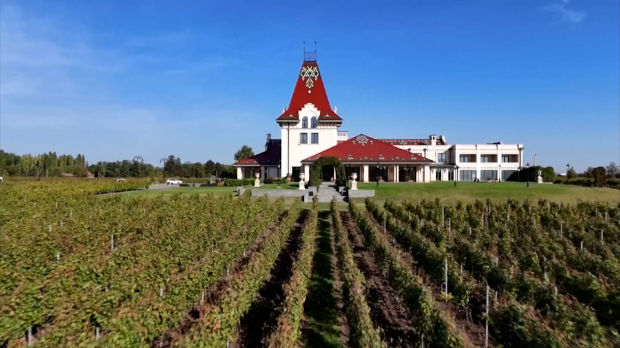 Где за првомајске празнике – Златибор чека 60.000 гостију, у бањама већ гужве