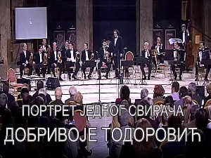 Портрет једног свирача