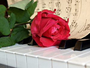 Избор за недељни хит класичне музике