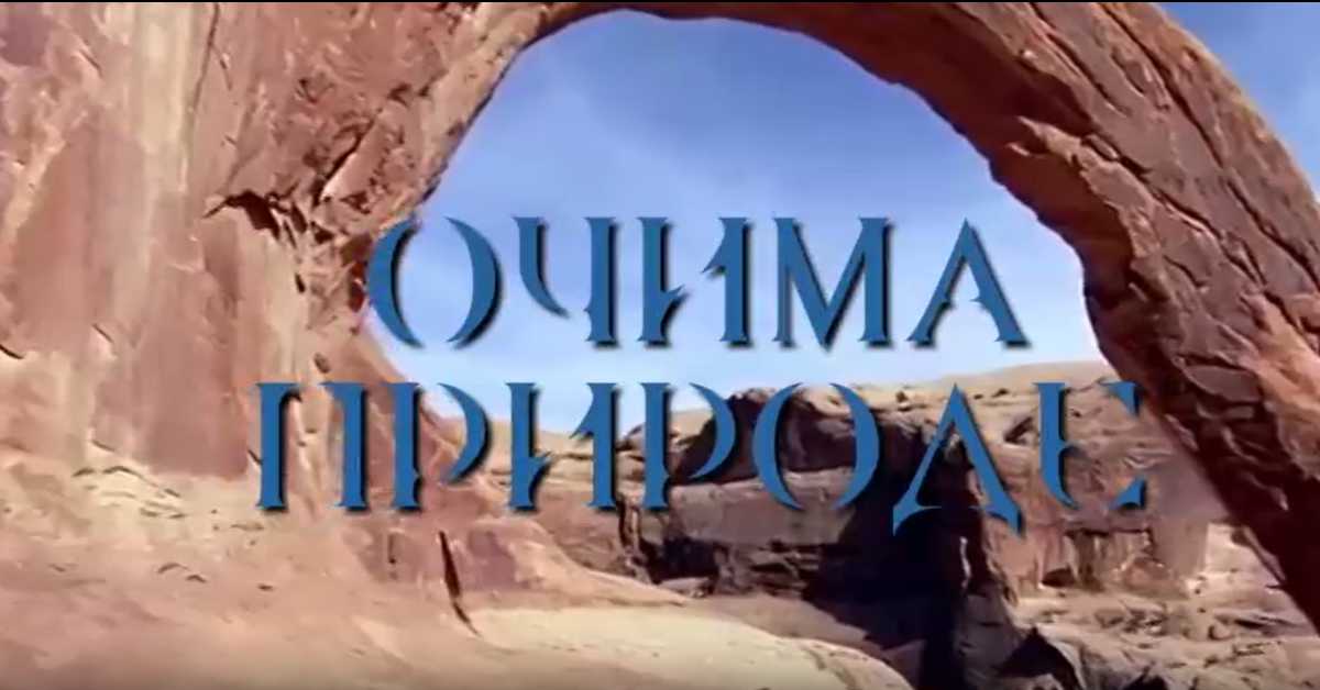 Очима природе: Игра светла и таме