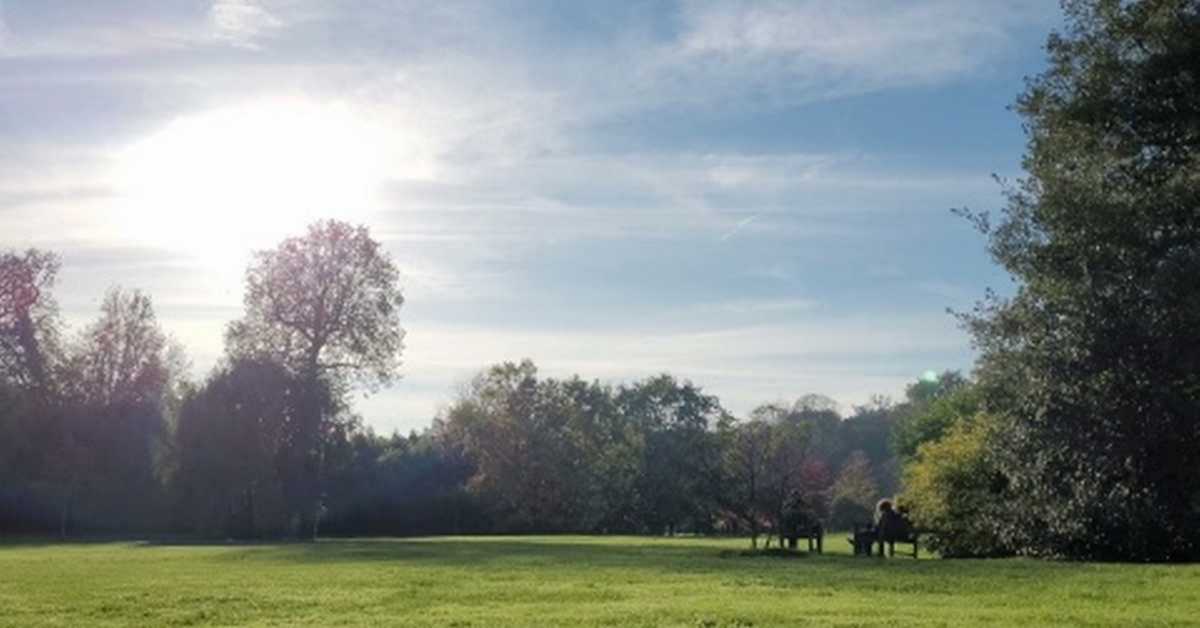 Мајка природа против анксиозности