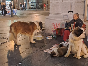 Јутарњи викенд програм