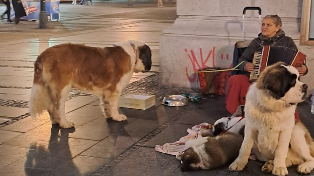 Јутарњи викенд програм