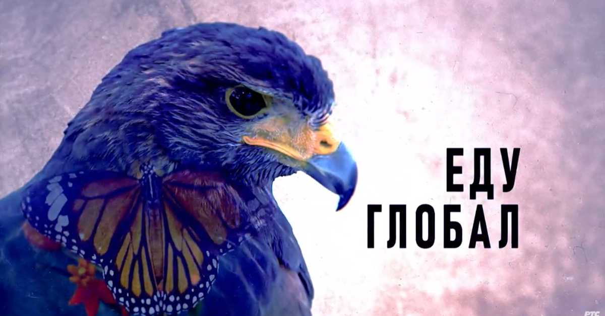 Еду глобал, 293. еп.