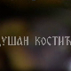Постер Душана Костића