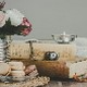 Сао Ићикава, Естер Сингер Крејтман