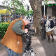 Трезор: Свет Милоша Јевтића