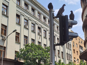 Јутарњи викенд програм