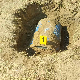 Од увиђаја до обдукције – који су кораци у истрази после проналаска тела код Инђије