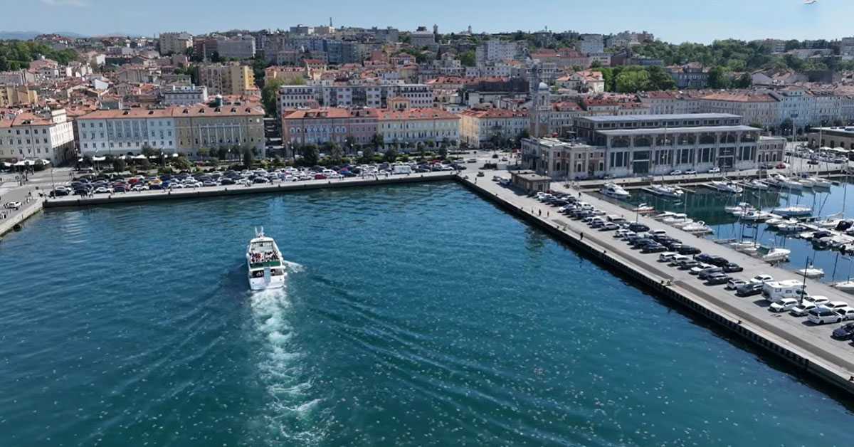 Инвазија медуза у Трсту, рибари приморани да обуставе риболов 