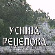Постер Усније Реџепове
