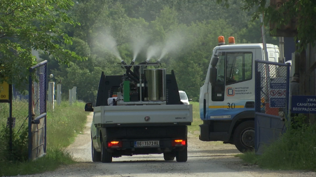 Једна чаша воде – триста комараца, како грађани могу да спрече најезду