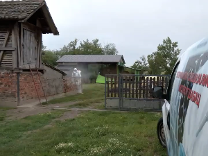 У шабачком крају шири се зараза афричке куге свиња, жариште у селу Прово
