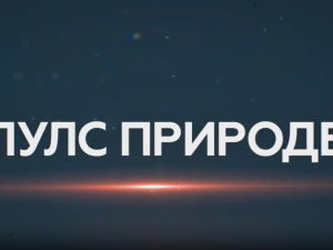 Пулс природе- Врхпоље