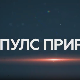 Пулс природе- Аранђеловац