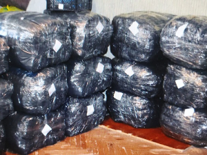 У Новом Саду заплењено више од 17.000 комада фалсификоване брендиране робе