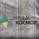 Лични космос: Добрило Ненадић, Доротељ и краљ малина