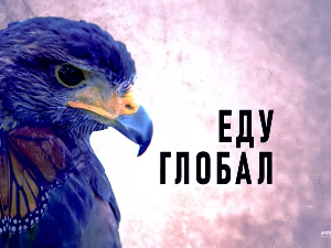 Еду глобал, 287. еп.