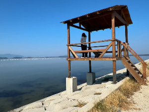 Делта Вјоса-Нарта у Албанији – уточиште ретких врста и предмет спора