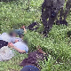 Пронађено пет миграната у околини Београда