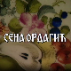 Постер Сене Ордагић