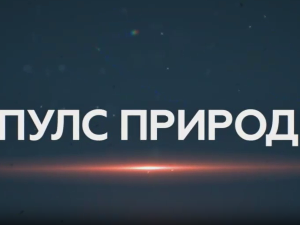 Пулс природе: Параглајдинг Гучево