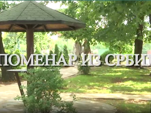 Еко минијатуре, споменар из Србије- Зелени змај